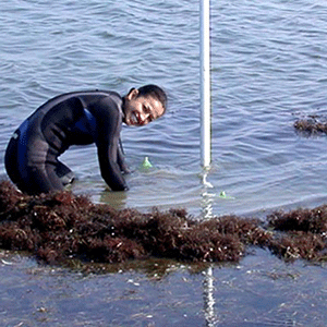 Coastal Resilience  